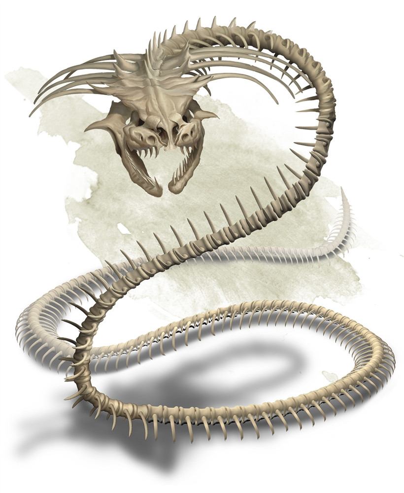 Naga Osseux Monstre Donjons And Dragons Dandd 5e 
