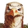 Avatar du membre