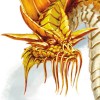 Avatar du membre