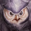 Avatar du membre