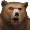 Avatar du membre