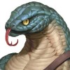 Avatar du membre