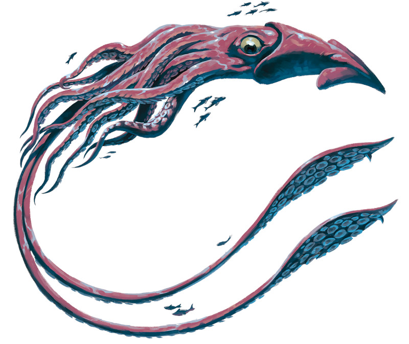 Giant Squid Giant Squid